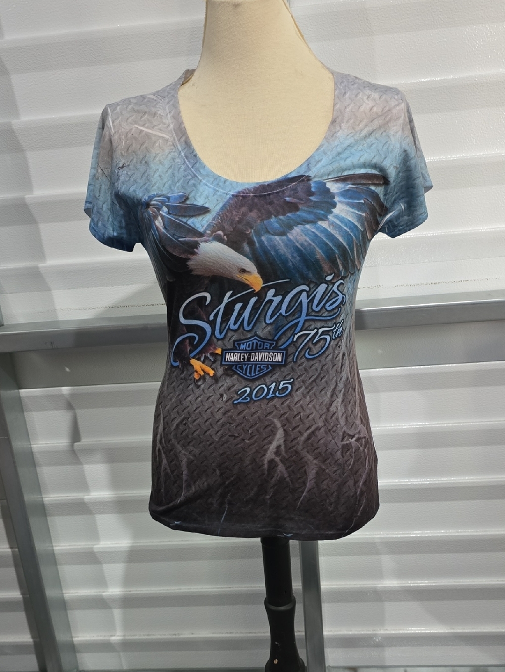 Harley-Davidson‎ Blue and Brown Eagle Sturgis Graphic Tee 2015 Size Large